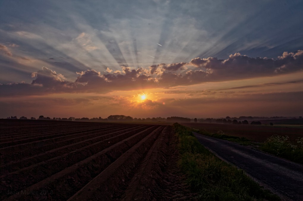 Sunrise in the fields jm